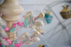 BabyshowerPima_2014-4