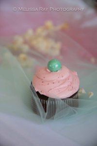 BabyshowerPima_2014-5