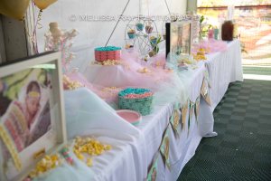 BabyshowerPima_2014-8