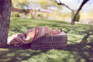 GeorgiaNewborn_2014-18