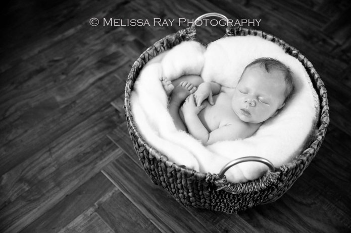 BaronNewborn_2015-11